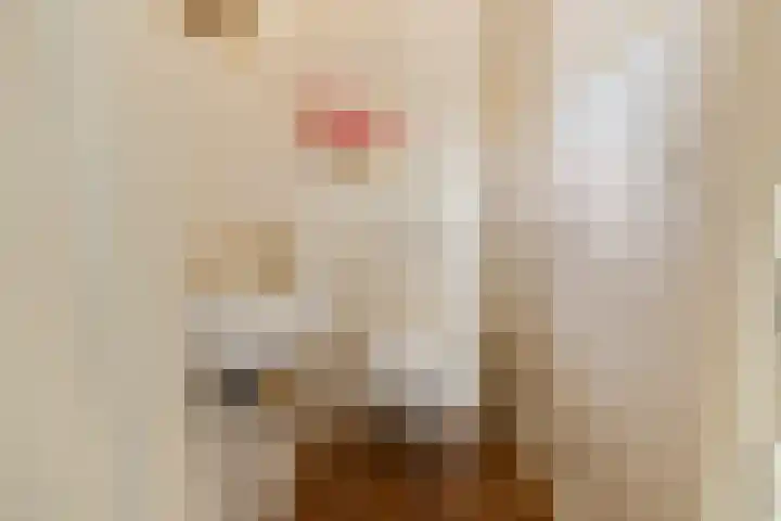 Berkhout 25 Anna Paulowna thumbnail 14