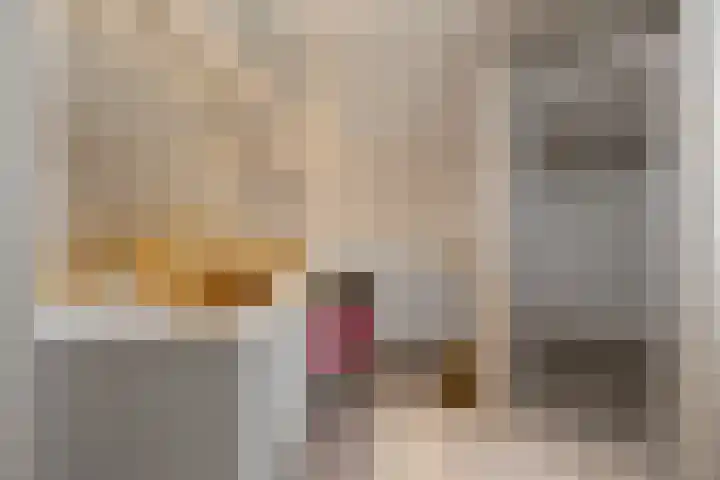 Berkhout 25 Anna Paulowna thumbnail 23