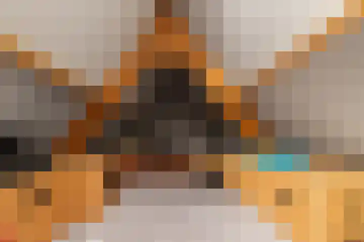 Berkhout 25 Anna Paulowna thumbnail 32