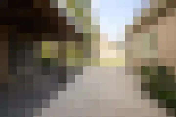 Berkhout 25 Anna Paulowna thumbnail 33