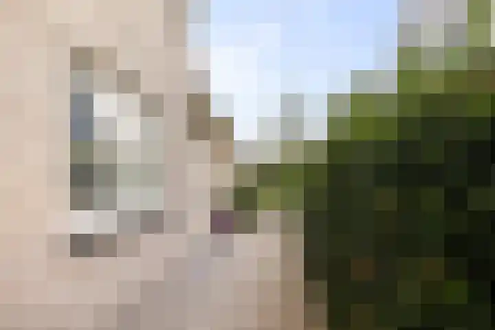 Berkhout 25 Anna Paulowna thumbnail 34