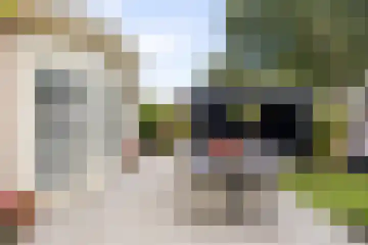 Berkhout 25 Anna Paulowna thumbnail 35
