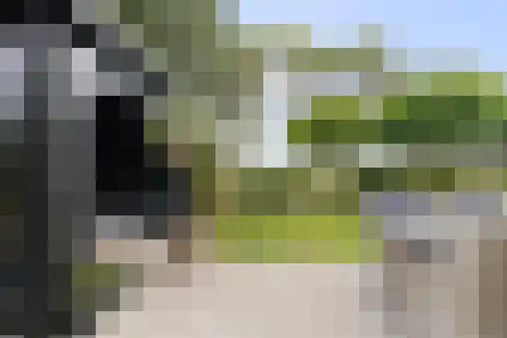 Berkhout 25 Anna Paulowna thumbnail 36