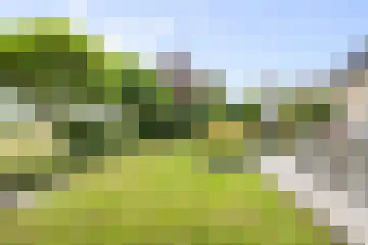 Berkhout 25 Anna Paulowna thumbnail 37