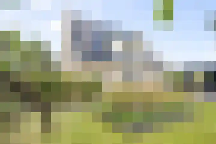 Berkhout 25 Anna Paulowna thumbnail 39