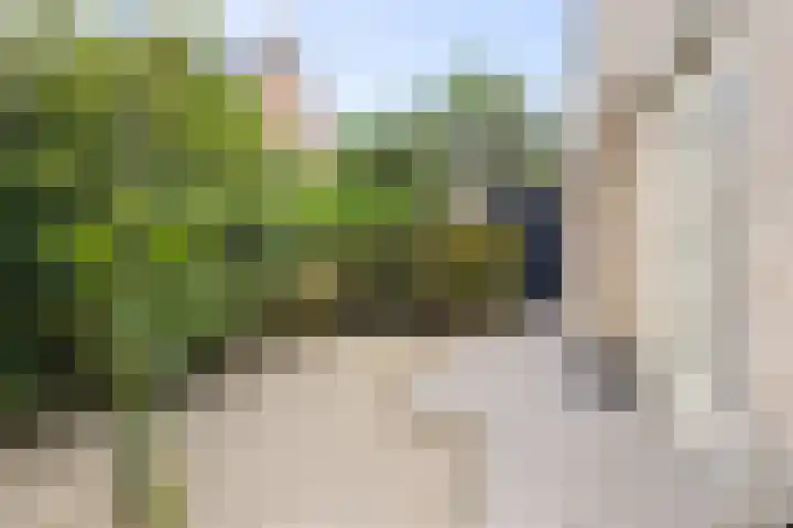 Berkhout 25 Anna Paulowna thumbnail 41