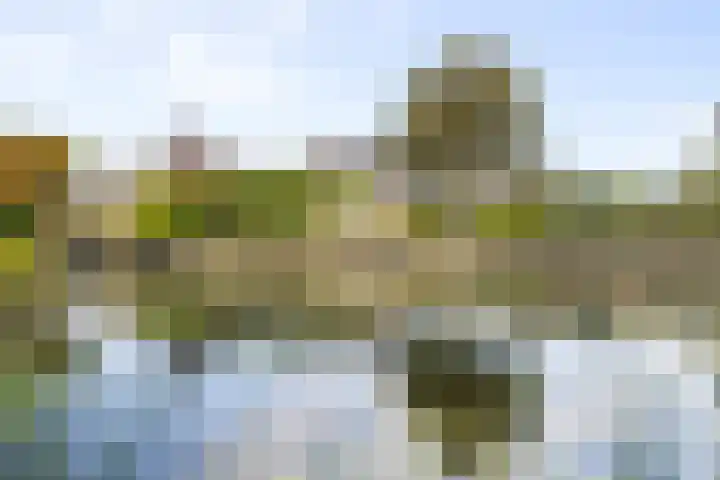 Berkhout 25 Anna Paulowna thumbnail 43