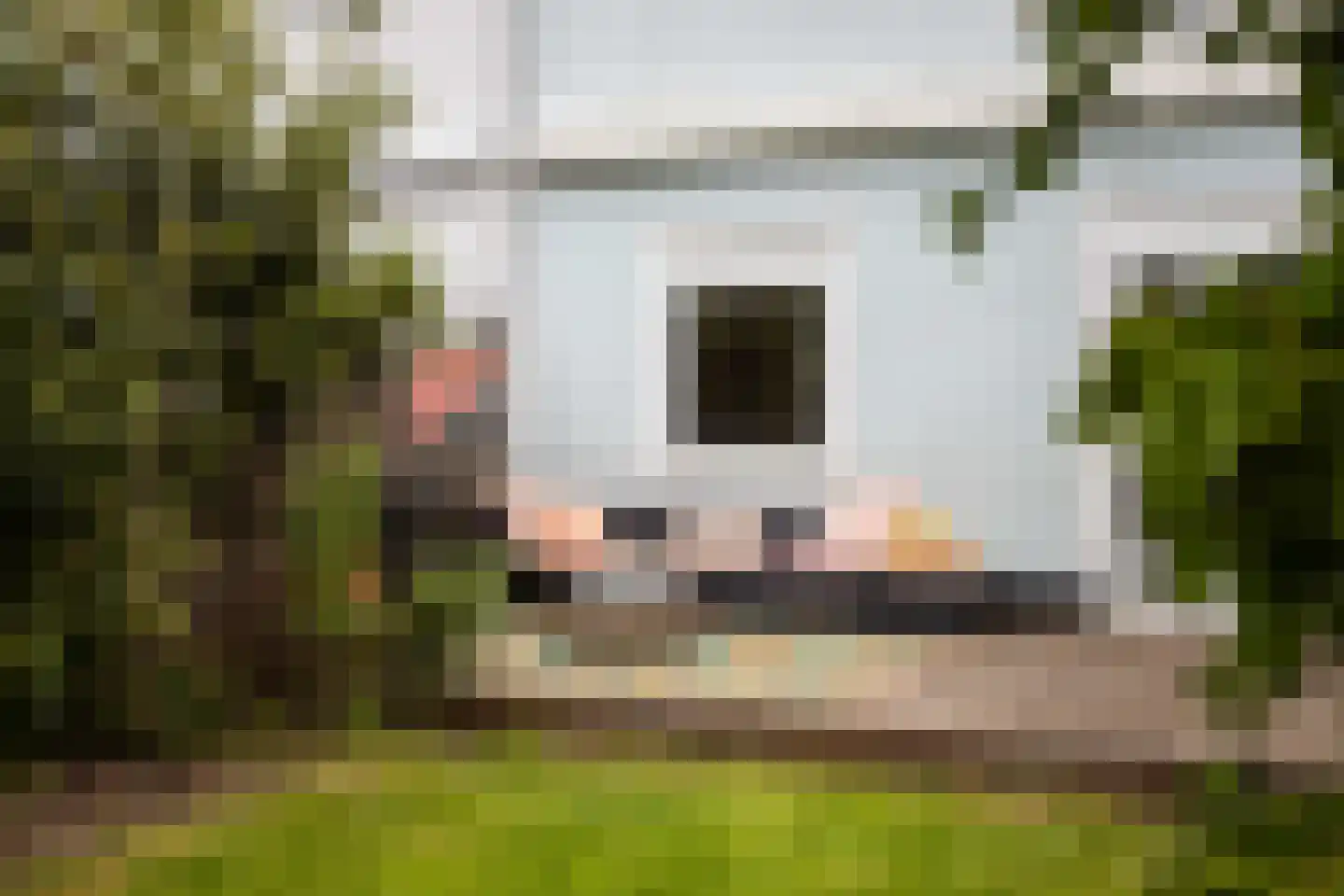 Berkhouthof 8 Amsterdam thumbnail 16