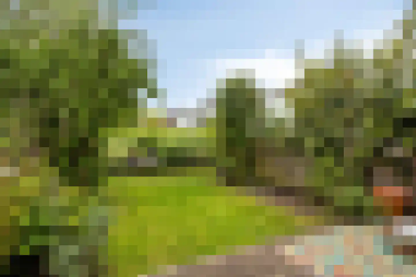Berkhouthof 8 Amsterdam thumbnail 4