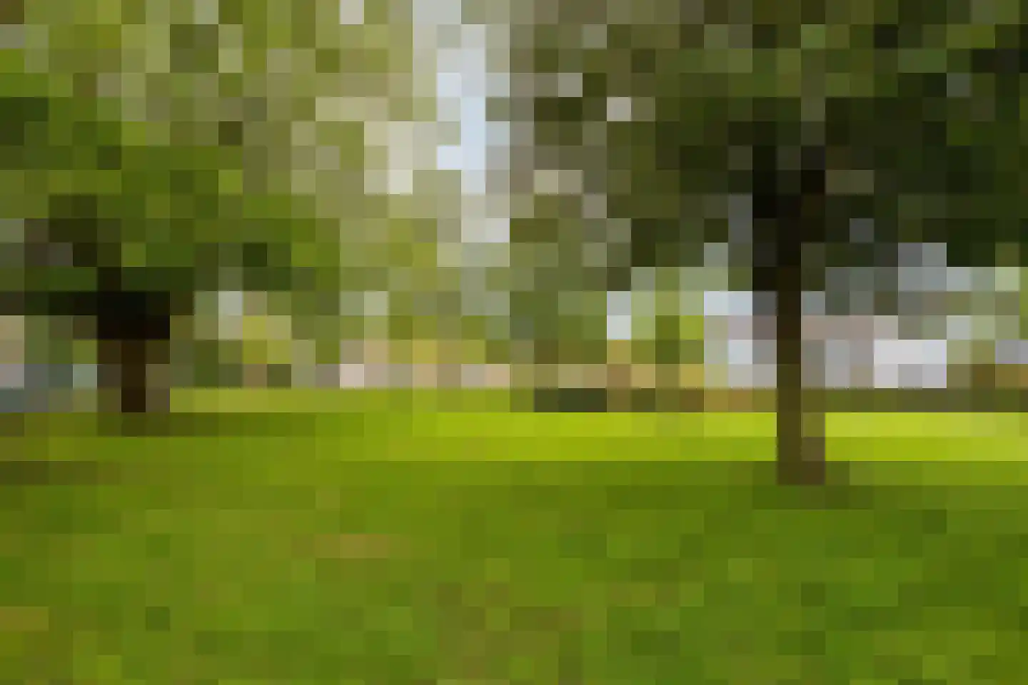 Berkhouthof 8 Amsterdam thumbnail 48