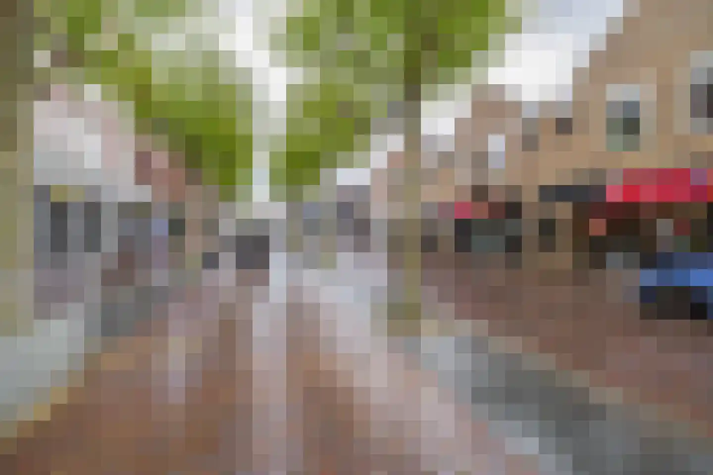 Berkhoutlaan 1 D Lisse thumbnail 29