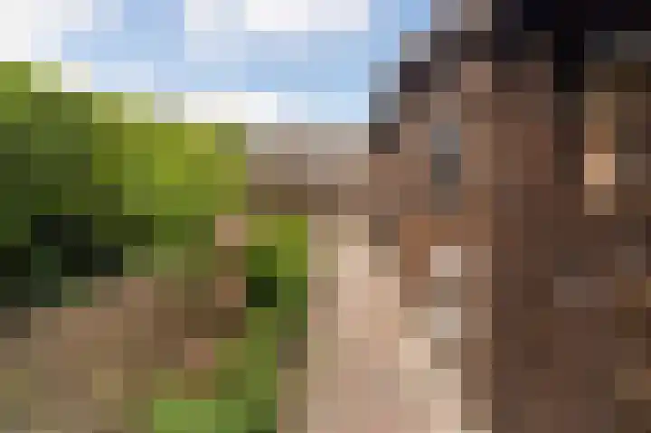 Berkhoutlaan 27 Emmeloord thumbnail 22