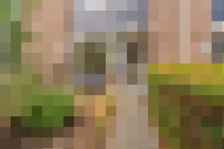 Berkhoutlaan 27 Emmeloord thumbnail 8