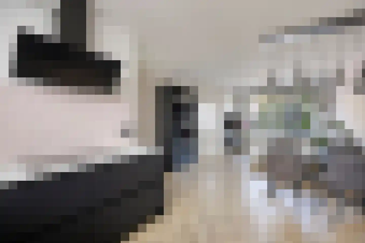 Berkhoutlaan 6 Emmeloord thumbnail 11