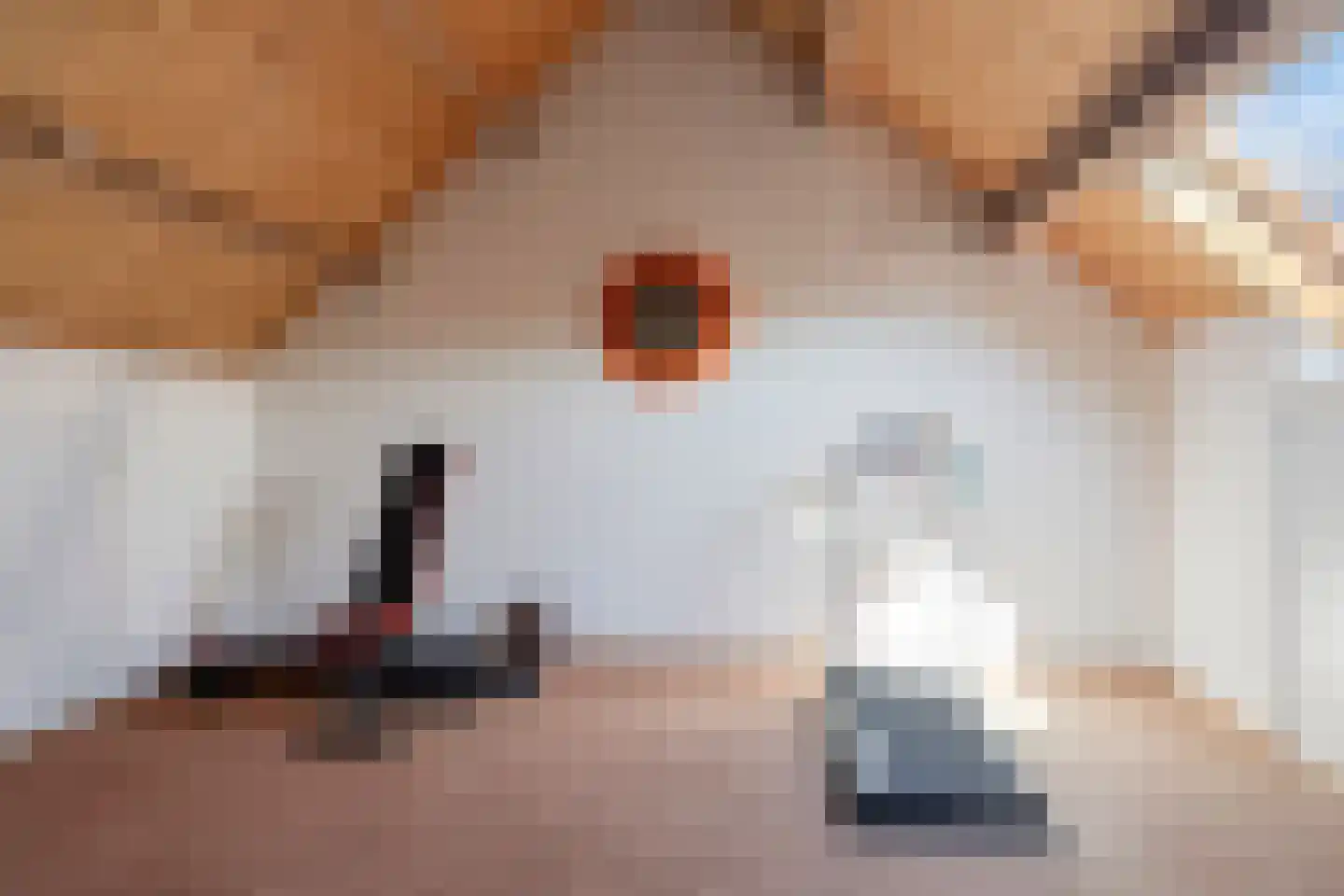 Berkhoutlaan 6 Emmeloord thumbnail 26