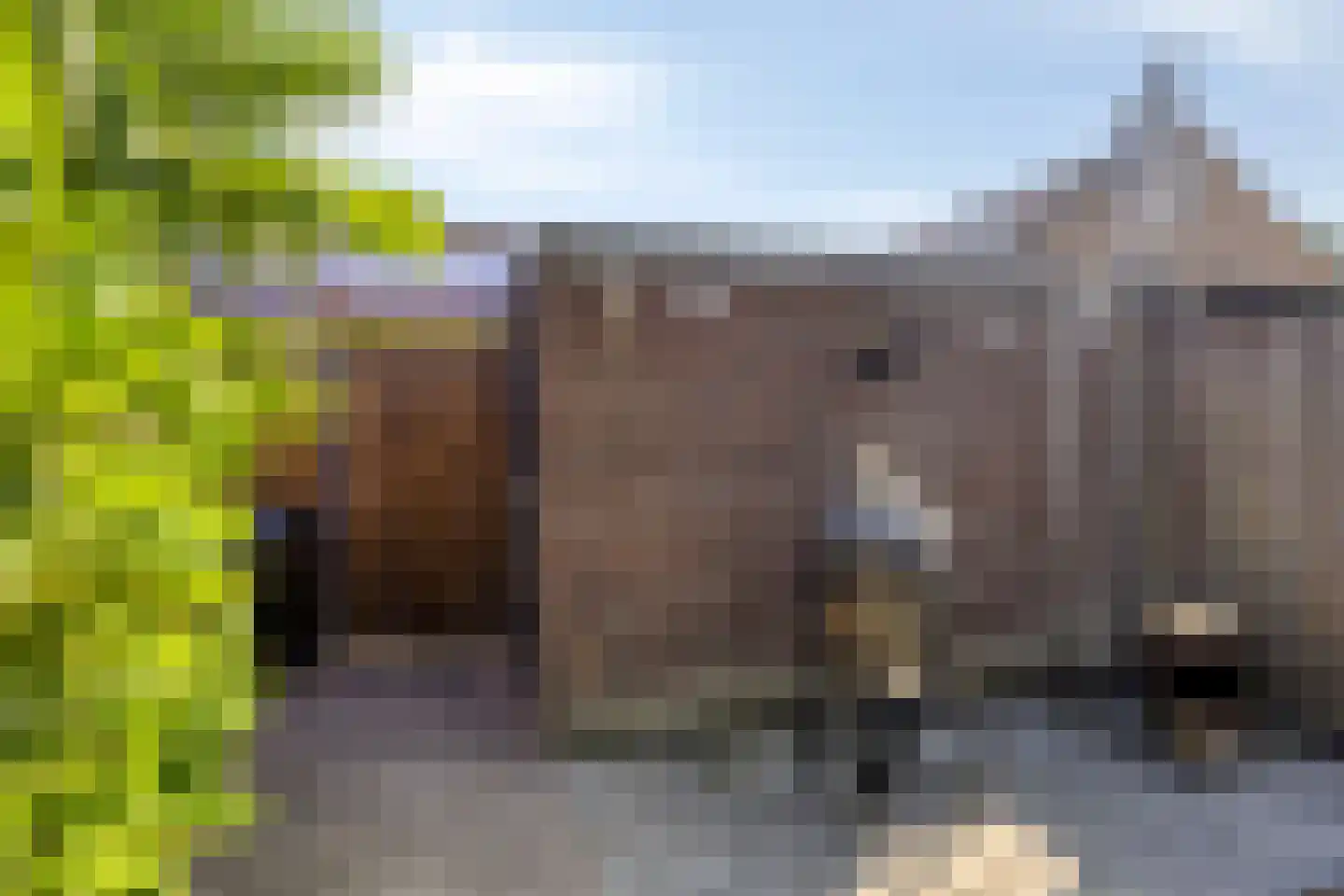 Berkhoutlaan 6 Emmeloord thumbnail 32