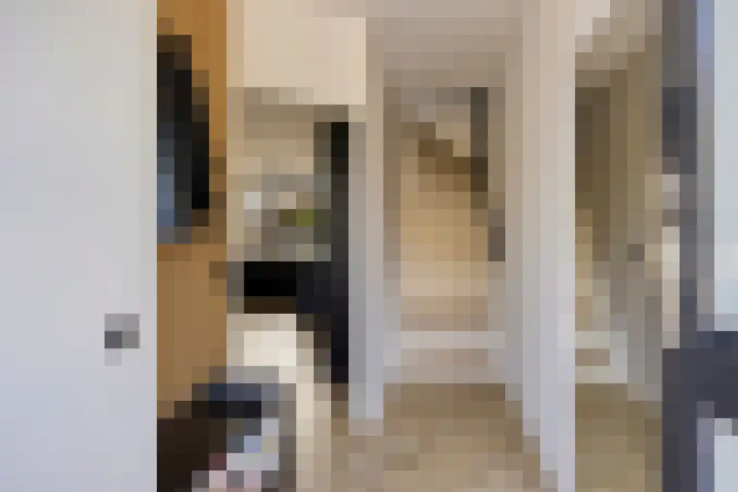 Berkhoutlaan 6 Emmeloord thumbnail 6