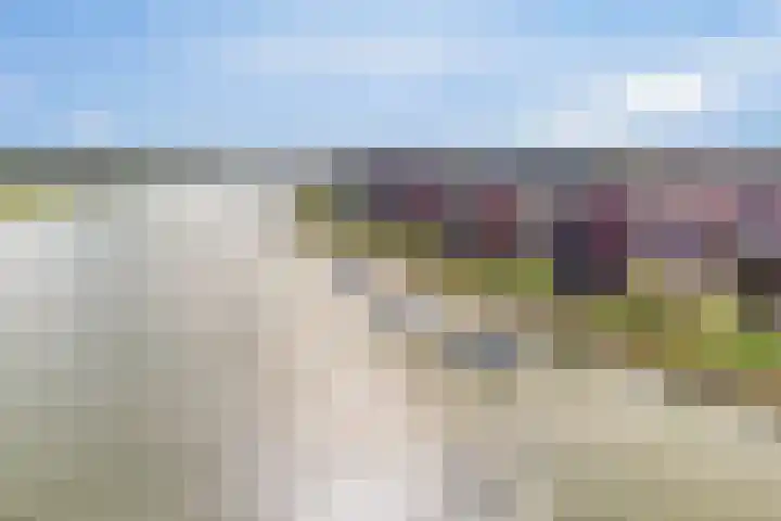 Berklaan 171 Kampen thumbnail 8