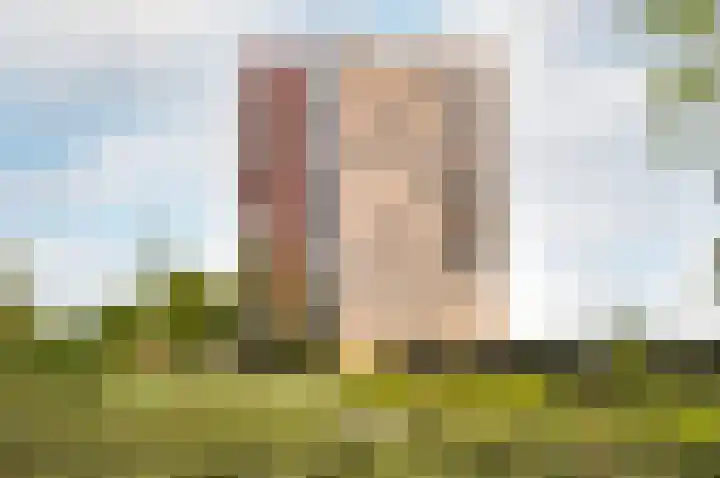 Berklaan 175 Kampen thumbnail 5