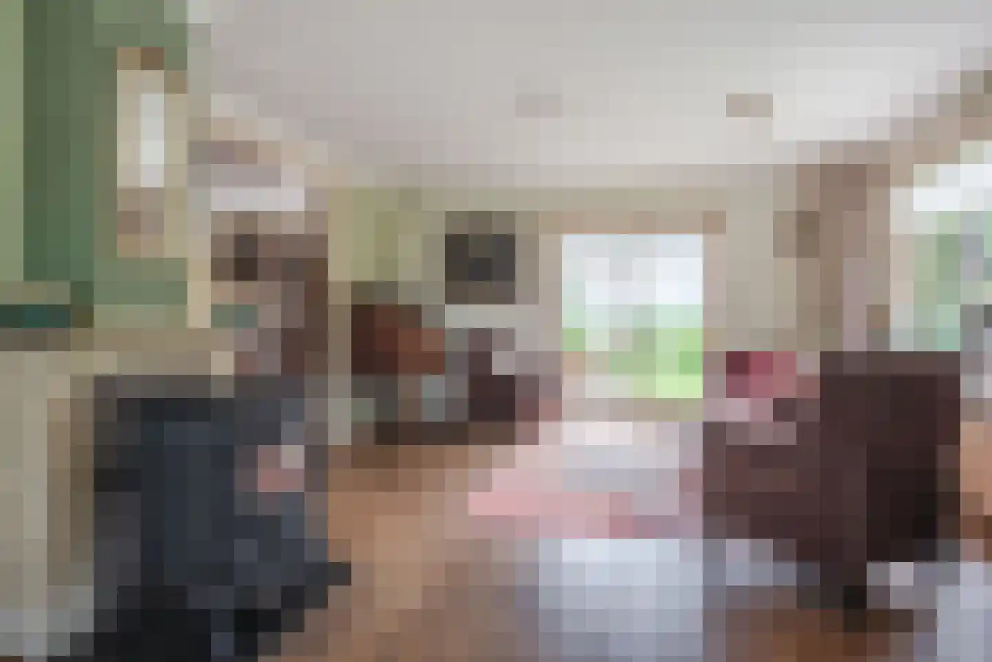 Berkmeerdijk 23 Obdam thumbnail 13