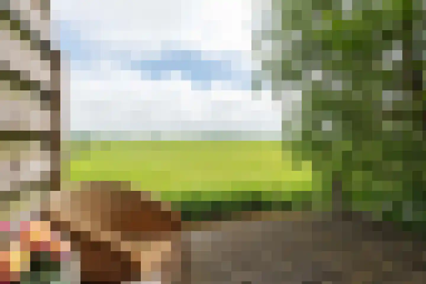 Berkmeerdijk 23 Obdam thumbnail 26