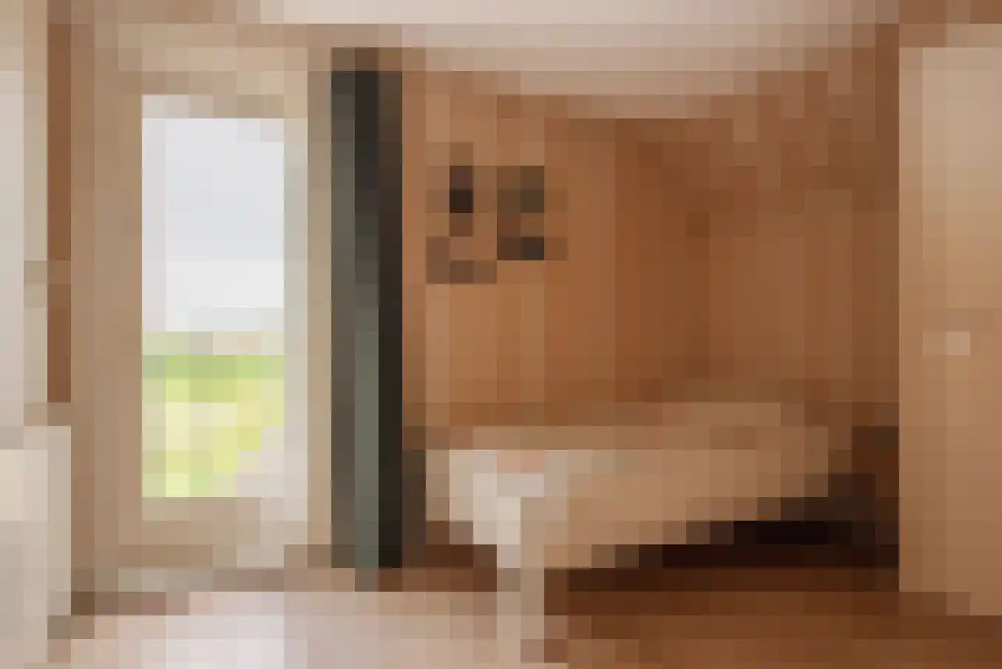 Berkmeerdijk 23 Obdam thumbnail 32