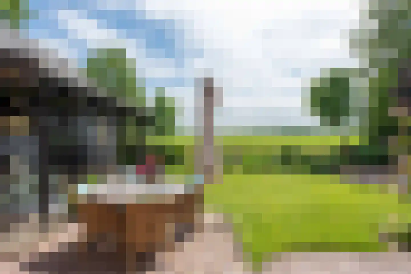 Berkmeerdijk 23 Obdam thumbnail 43