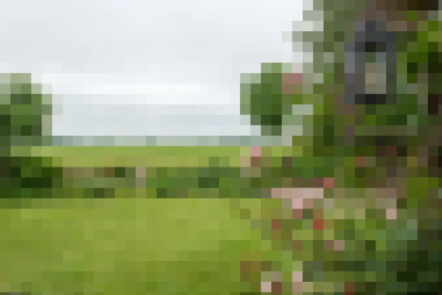 Berkmeerdijk 23 Obdam thumbnail 44