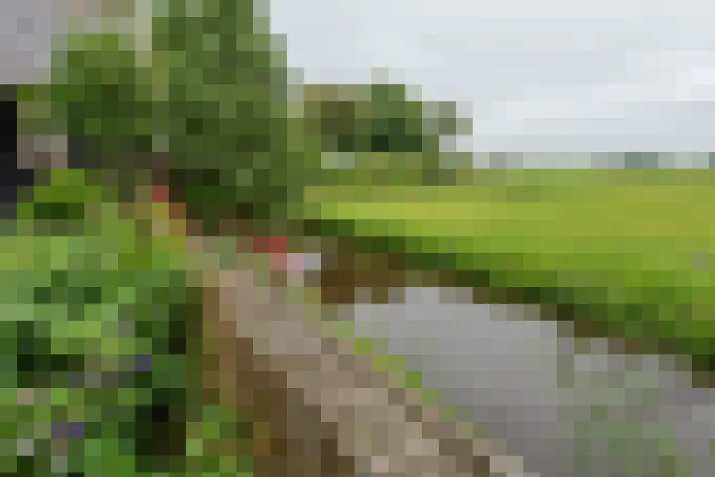 Berkmeerdijk 23 Obdam thumbnail 46