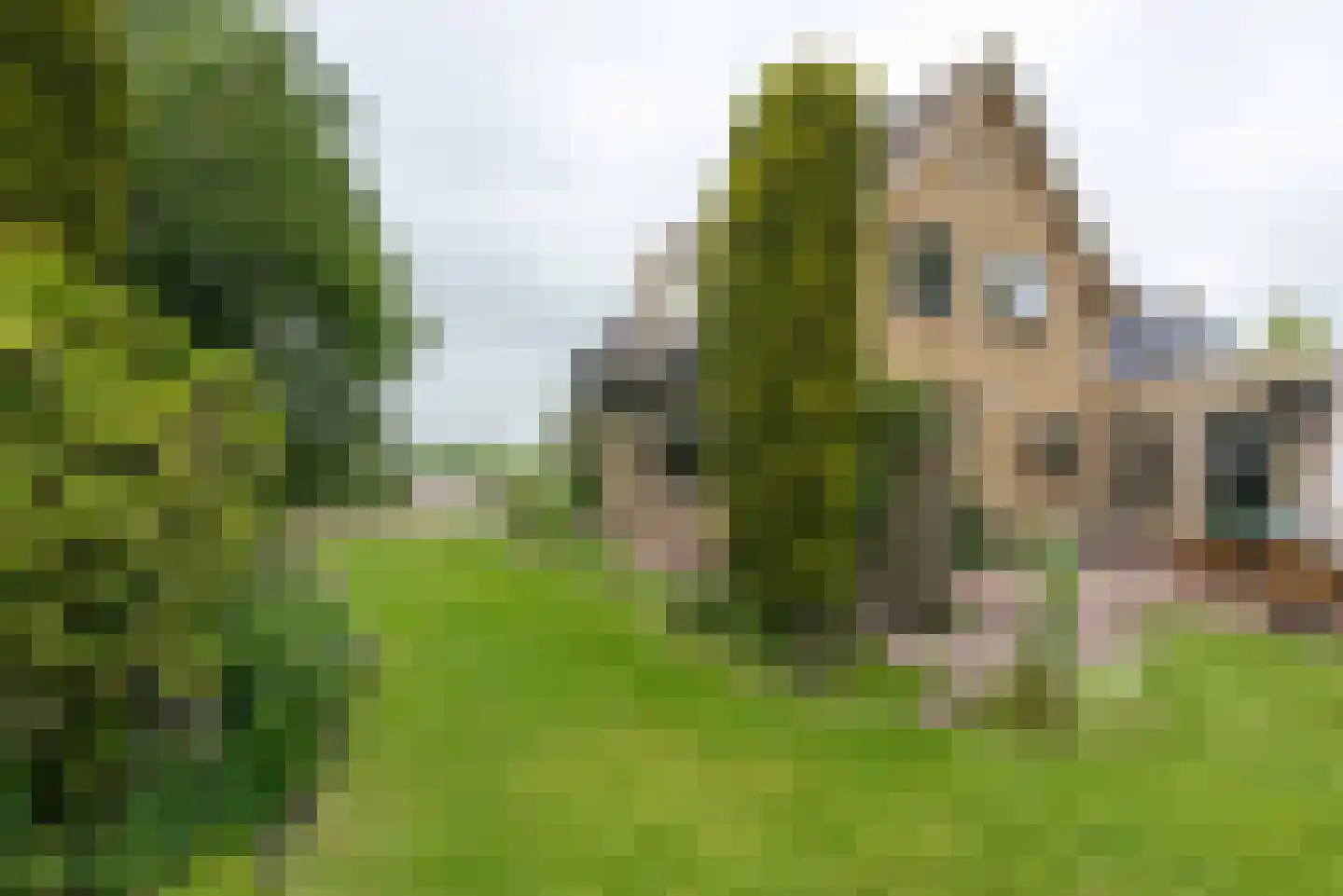 Berkmeerdijk 23 Obdam thumbnail 52