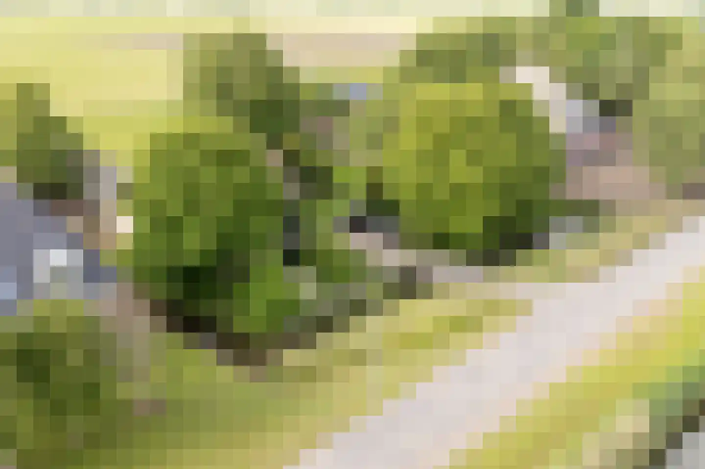 Berkmeerdijk 23 Obdam thumbnail 55