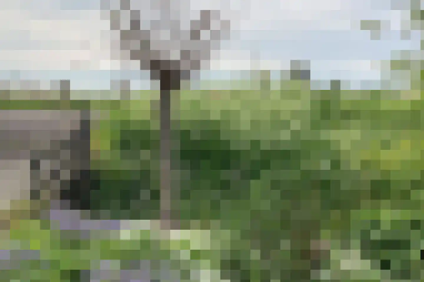 Berkmeerdijk 23 Obdam thumbnail 65