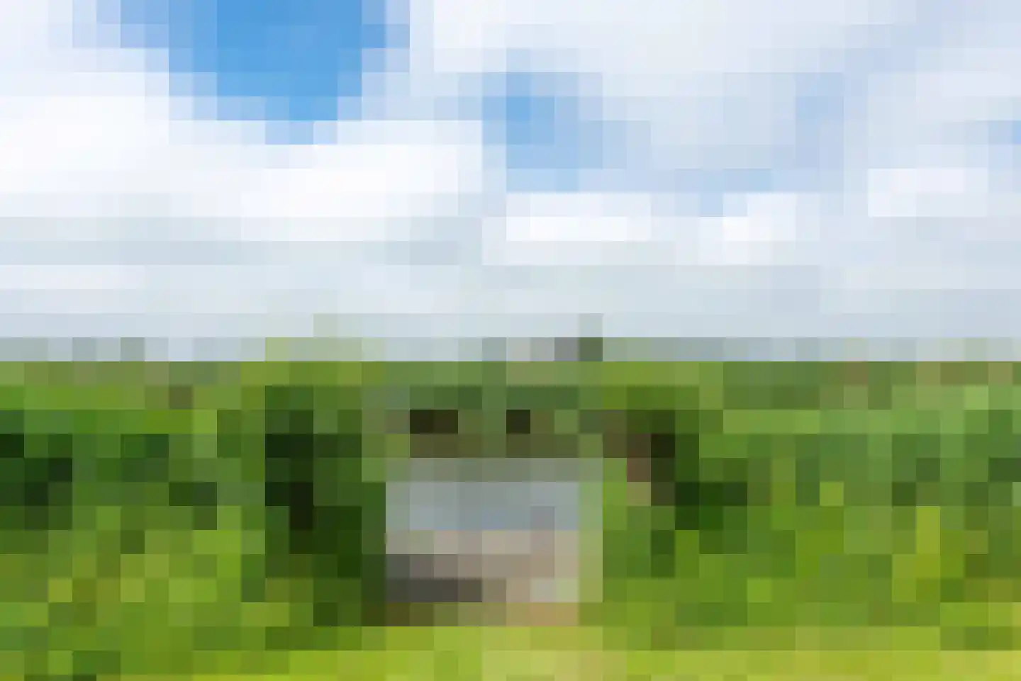 Berkmeerdijk 23 Obdam thumbnail 67