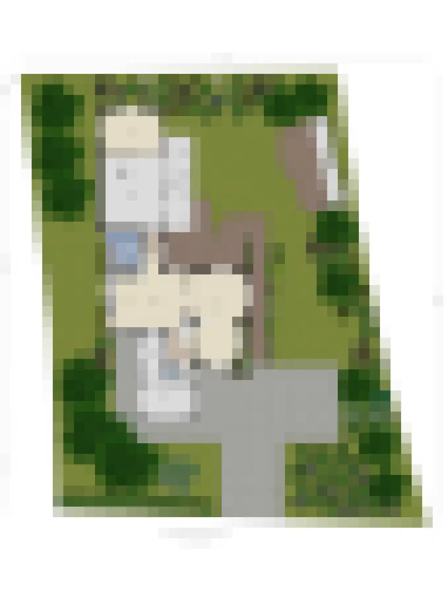 Berkmeerdijk 23 Obdam thumbnail 76