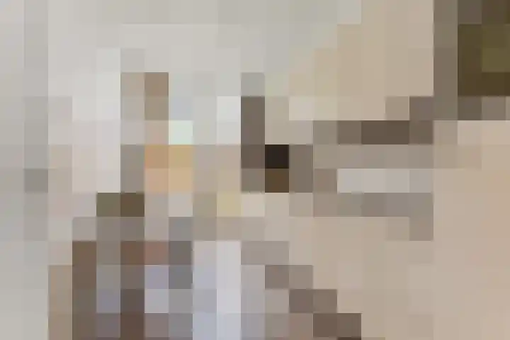 Berkstraat 2 Gilze thumbnail 5