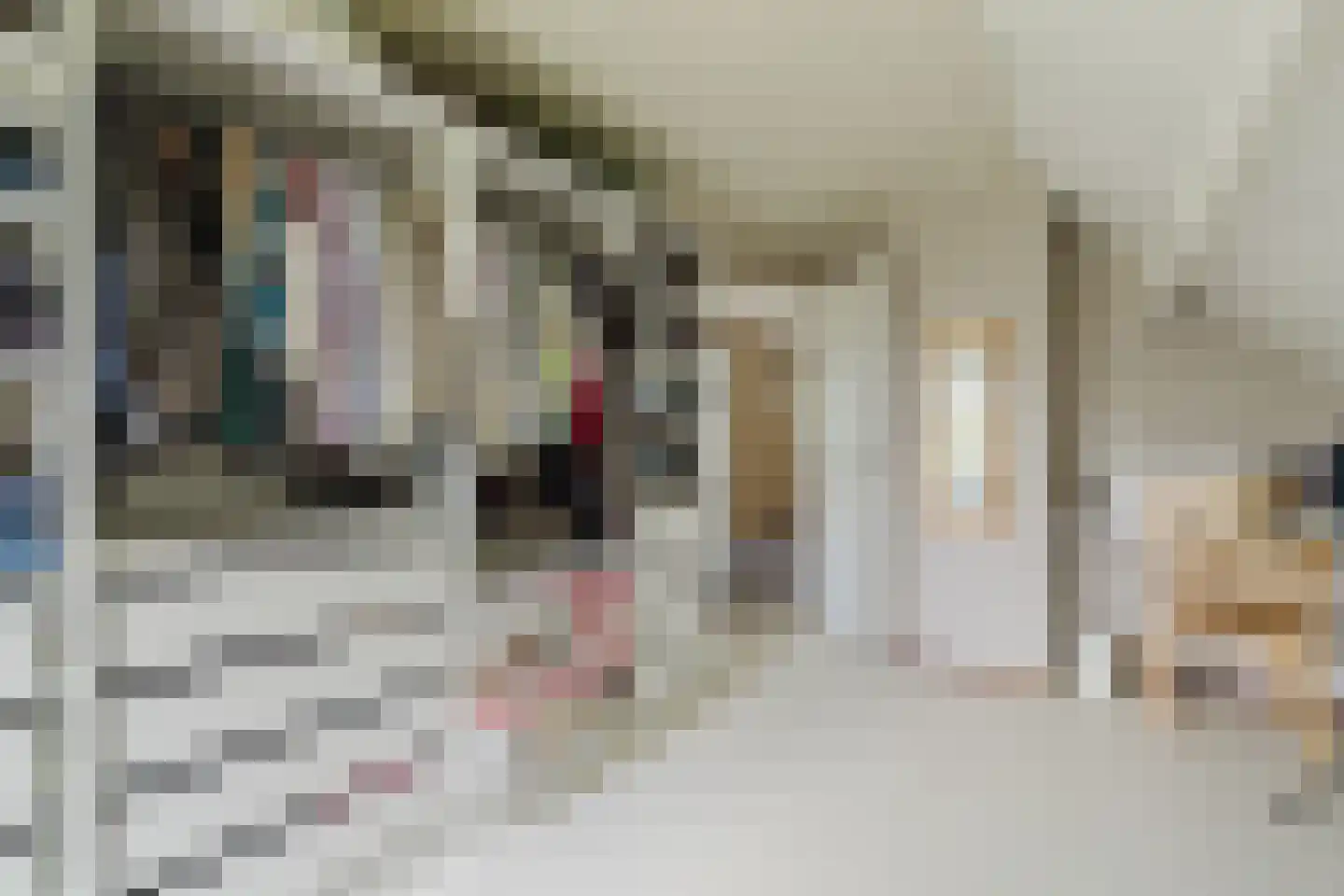 Berkstraat 20 a Zundert thumbnail 25