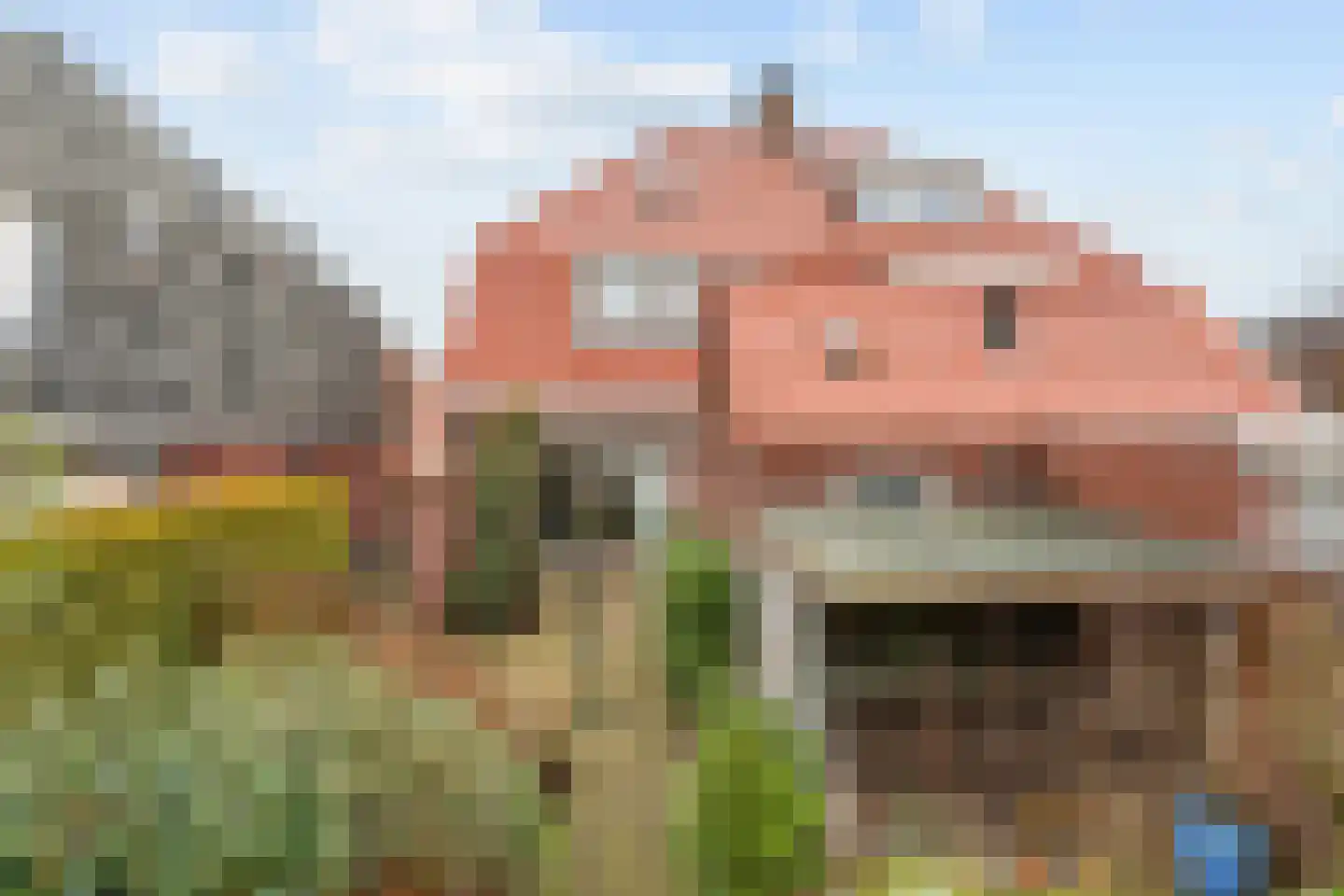 Berkstraat 39 Oldenzaal thumbnail 13