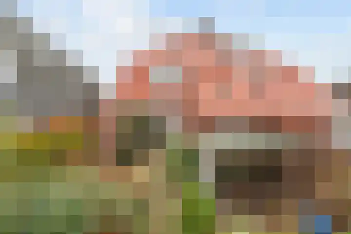Berkstraat 39 Oldenzaal thumbnail 13