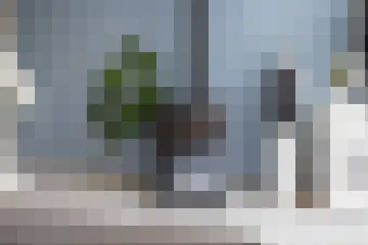Berkstraat 4 Nieuwegein thumbnail 21