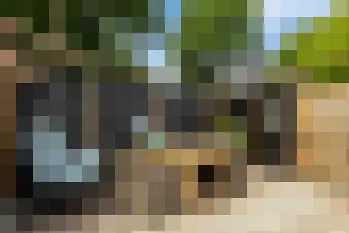 Berkstraat 4 Nieuwegein thumbnail 31