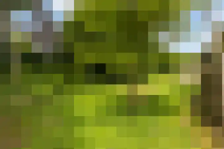 Berkstraat 4 Nieuwegein thumbnail 35