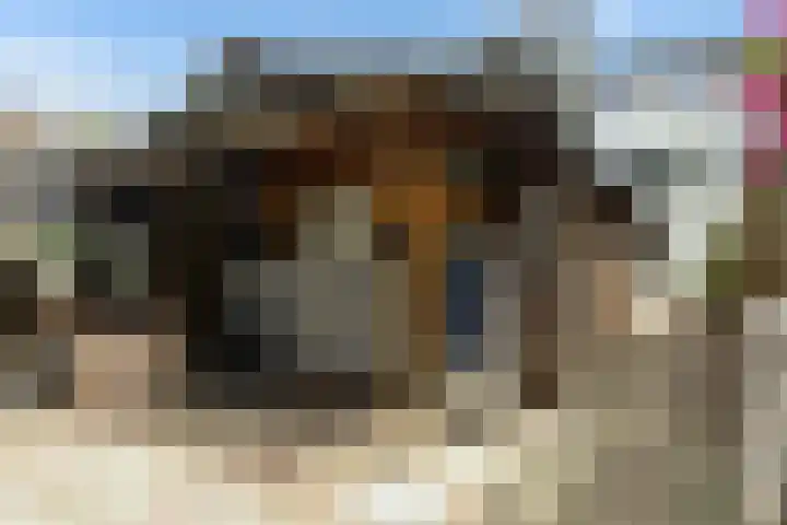 Berkstraat 4 Nieuwegein thumbnail 36