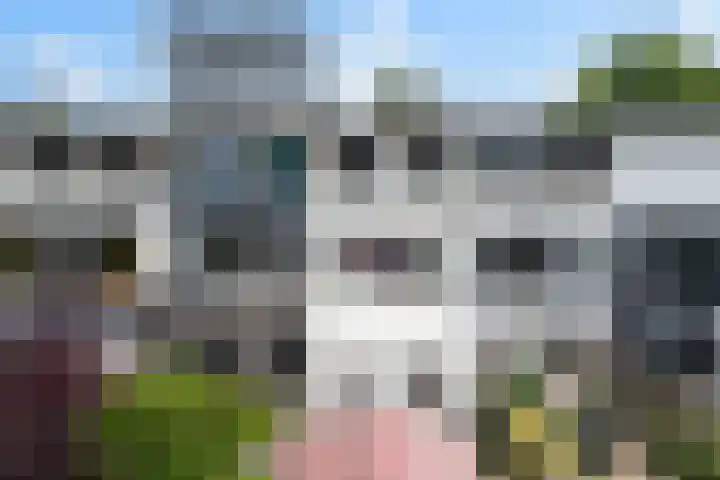 Berkstraat 4 Nieuwegein thumbnail 51