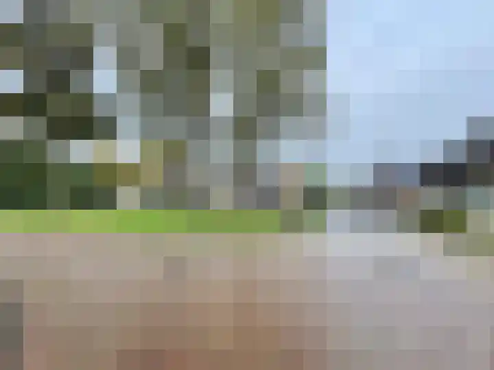 Berkstraat 6 Maasbree thumbnail 25