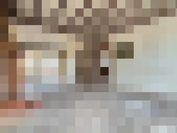 Berkstraat 6 Maasbree thumbnail 6