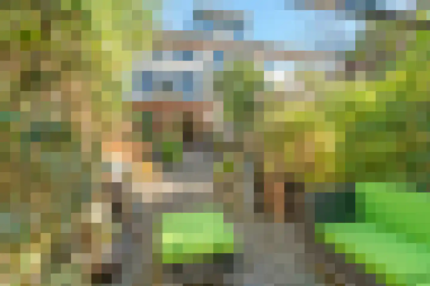 Berkstraat 6 Nieuwegein thumbnail 6
