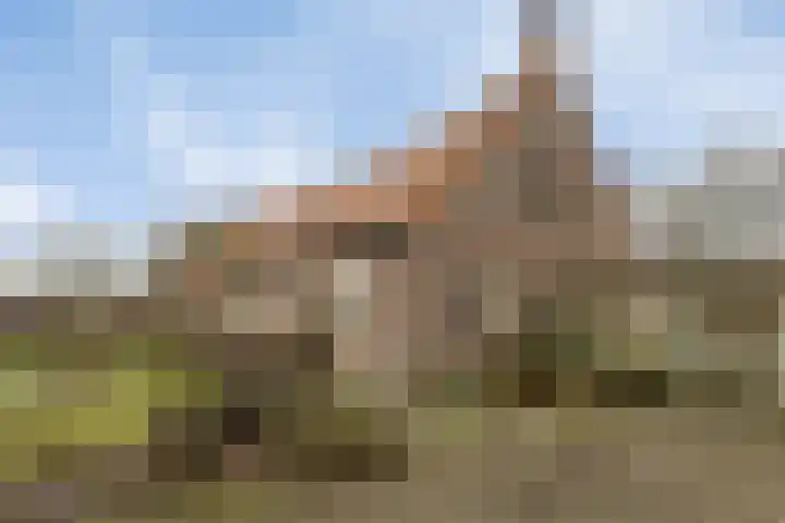 Berktsedijk 11 Liessel thumbnail 10