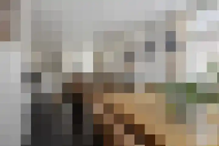 Berktsedijk 11 Liessel thumbnail 17