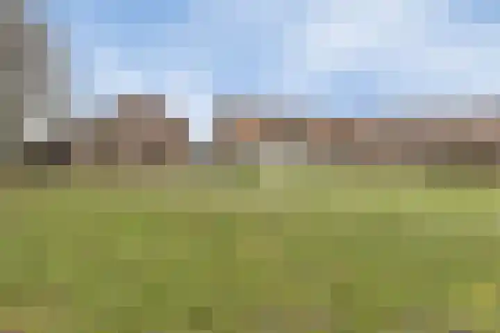 Berktsedijk 11 Liessel thumbnail 5