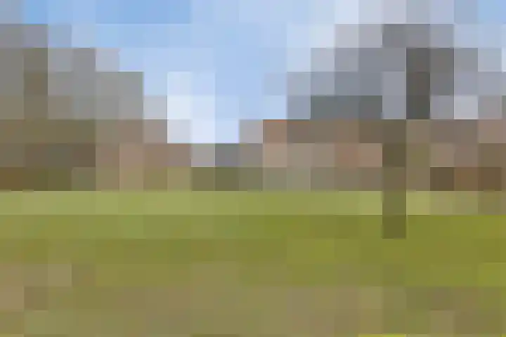 Berktsedijk 11 Liessel thumbnail 50